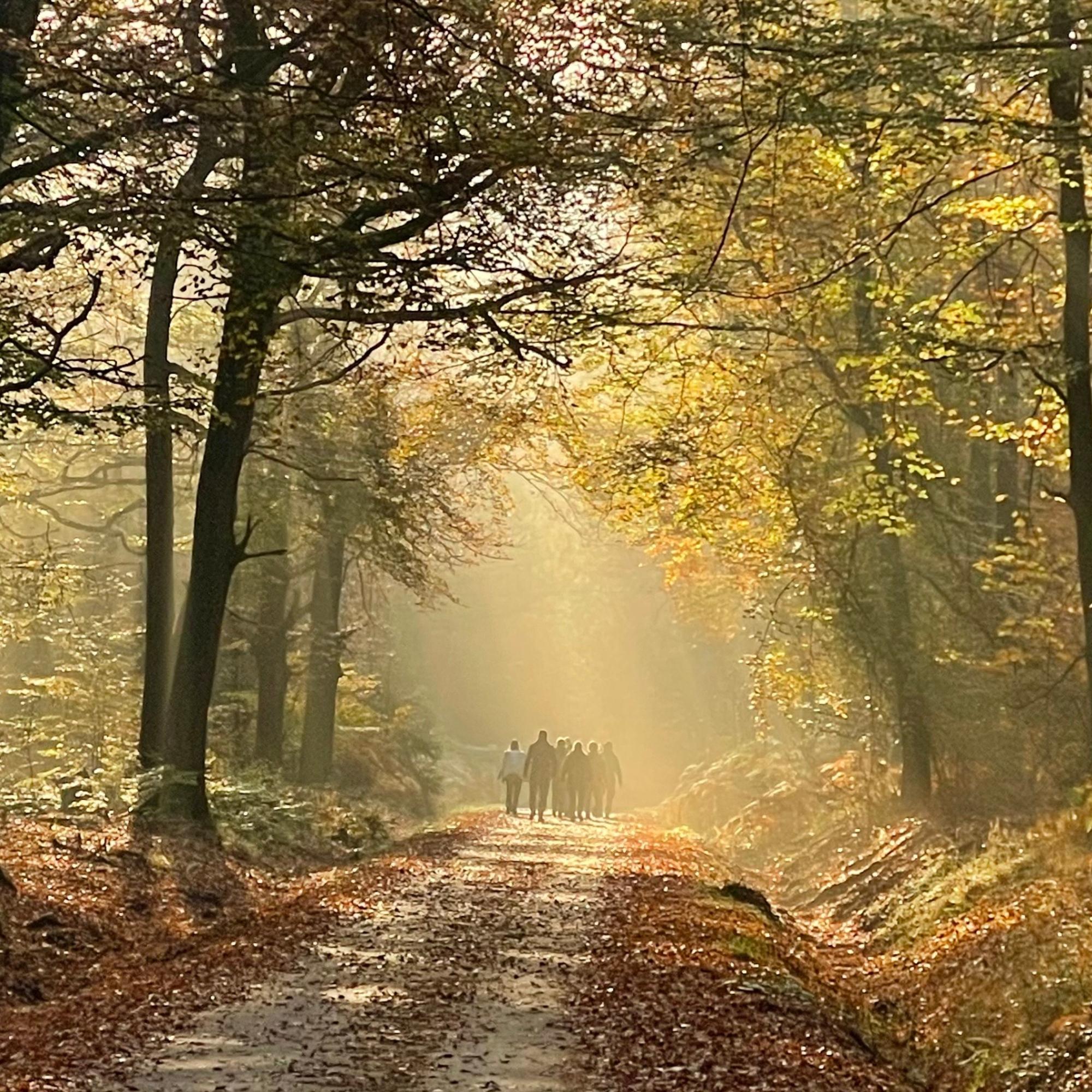 Wallfahrt nach Vossenack