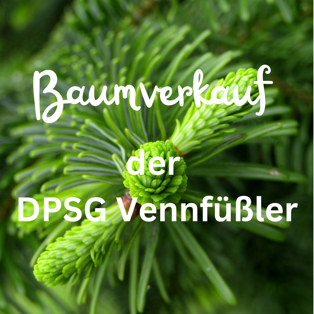 Baumverkauf der DPSG Vennfüßler