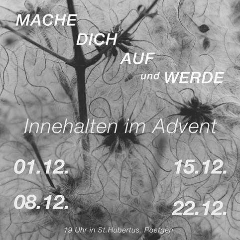 Roe_Mach dich auf und werde_Bild