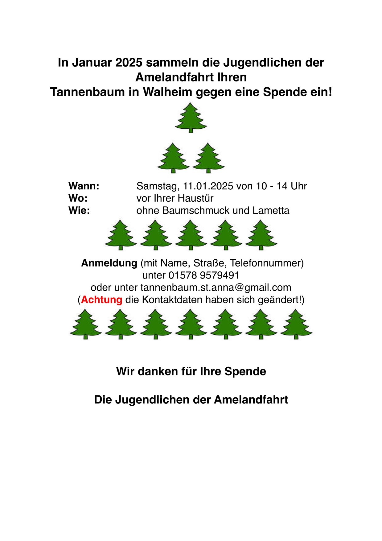 Tannenbaum Ameland (c) A. Dreiling