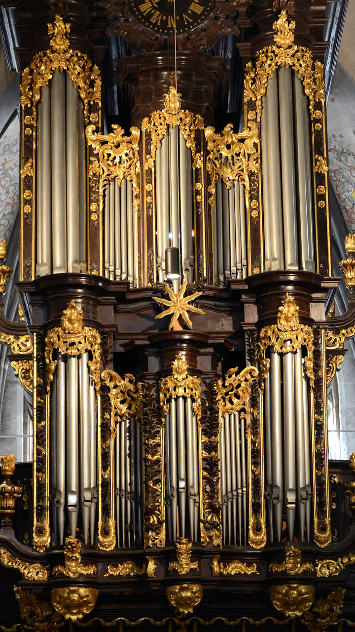 Orgel Kornelius (c) Lothar Stresius