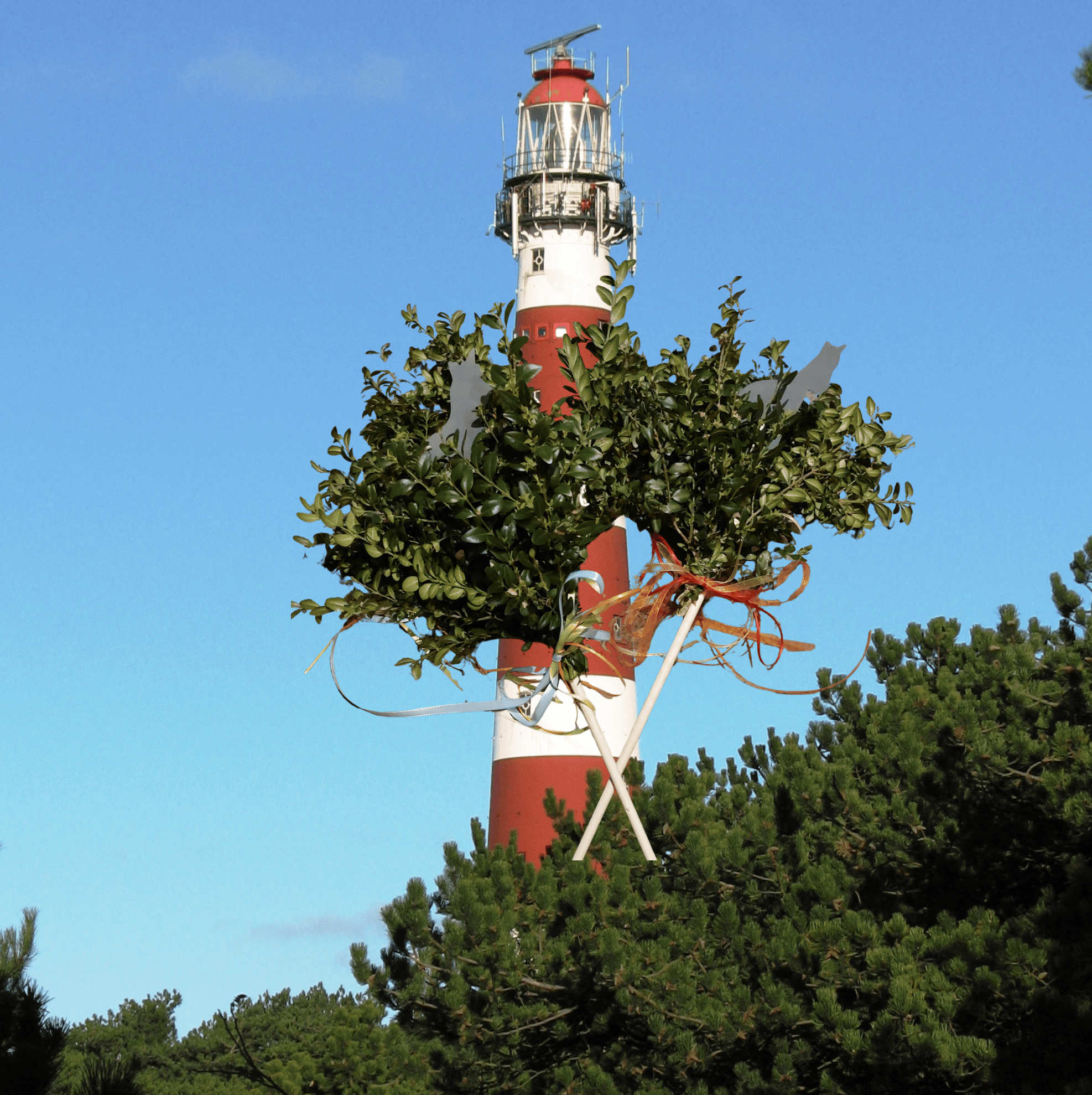 WAL_Palmstock vor Leuchtturm (c) Th. Ortmann WAL_Palmstock vor Leuchtturm (c) Th. Ortmann