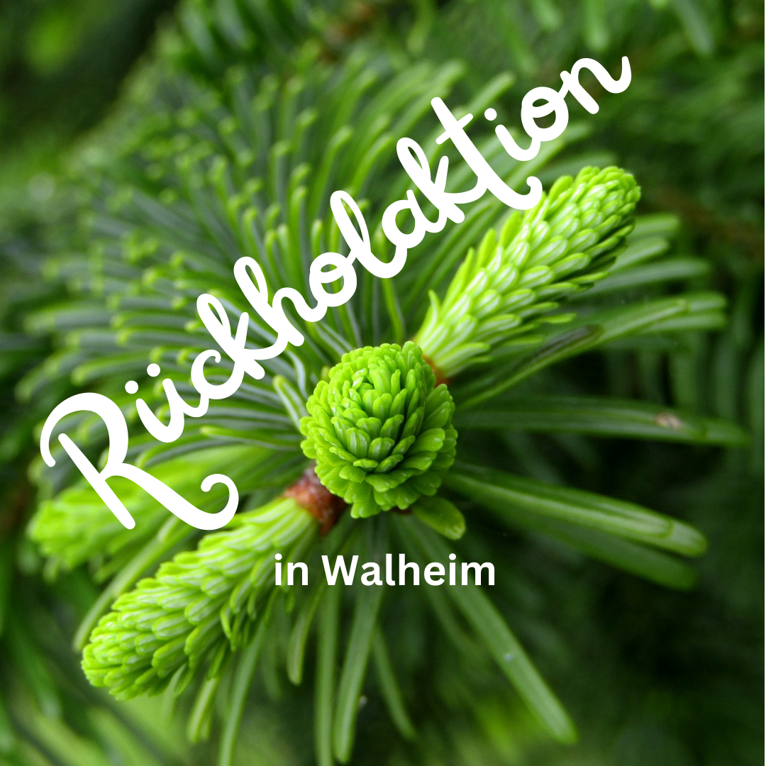 Wal_Rückholaktion