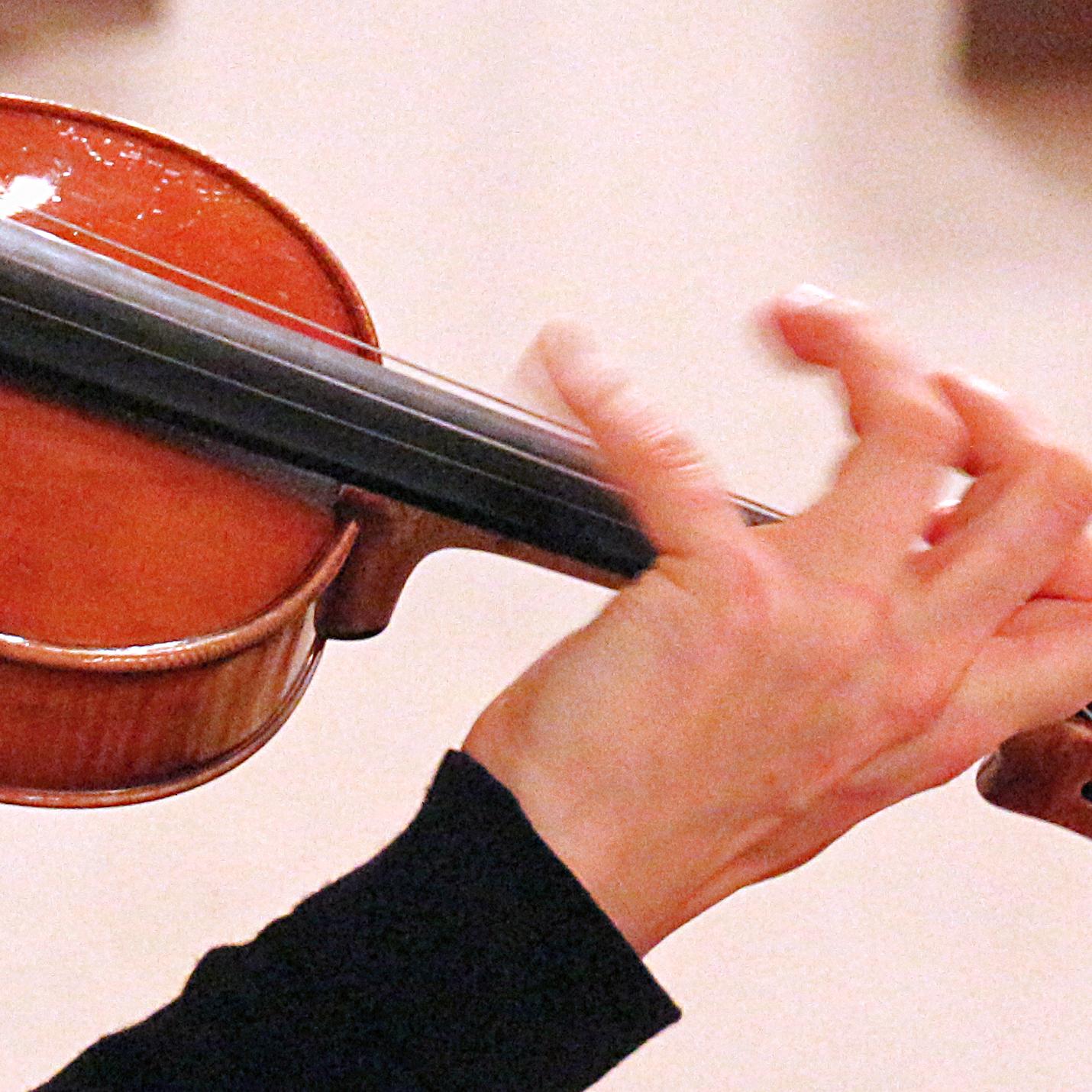 Violine Foto