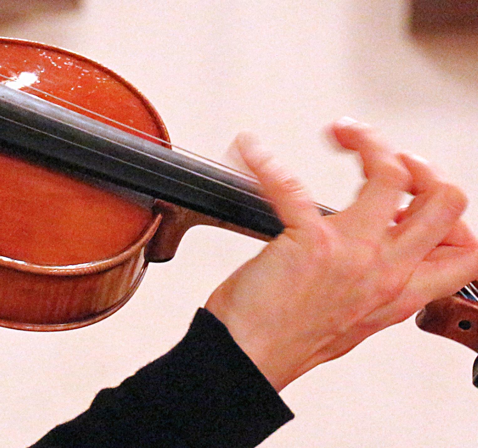 Violine Foto