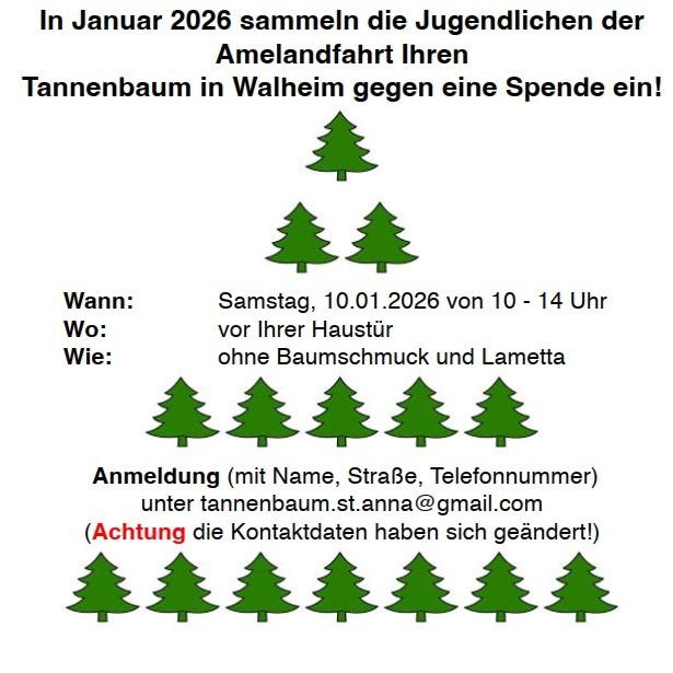 WAL_Tannbaumaktion Teaser