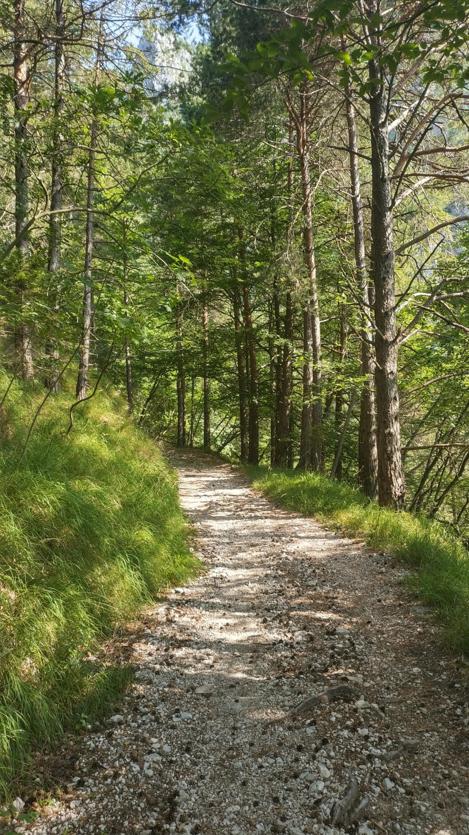 Pilgerweg (c) pixabay.com