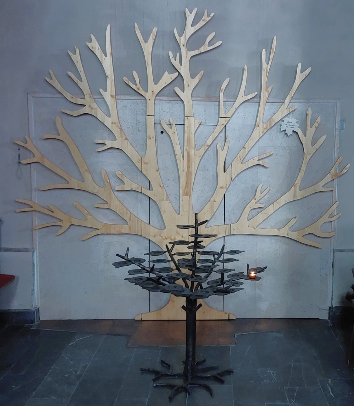 WAL_Baum (c) Th. Ortmann WAL_Baum (c) Th. Ortmann